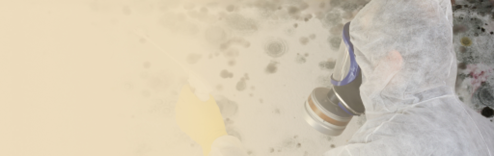 Удаление плесени в квартирах и домах в Москве, и области, цены на ...